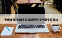 甲流爆发:多地学校因新冠甲流停课专家回应